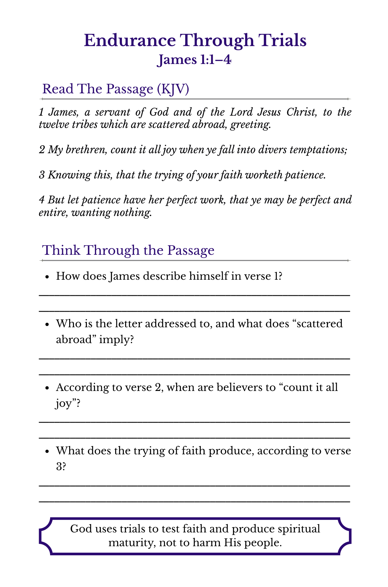Rooted in Scripture: A KJV Verse-by-Verse Study on the Book of James